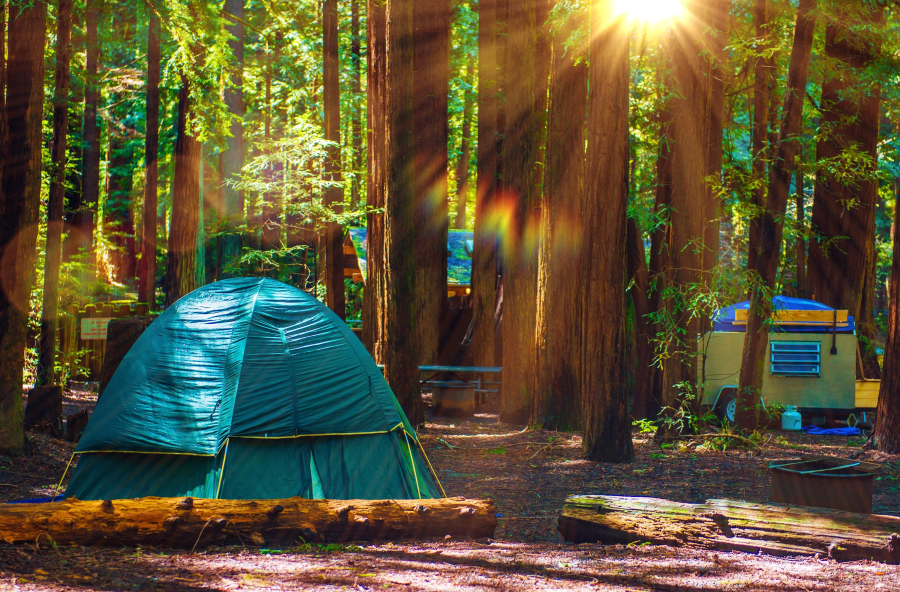 camping ecologique auvergne